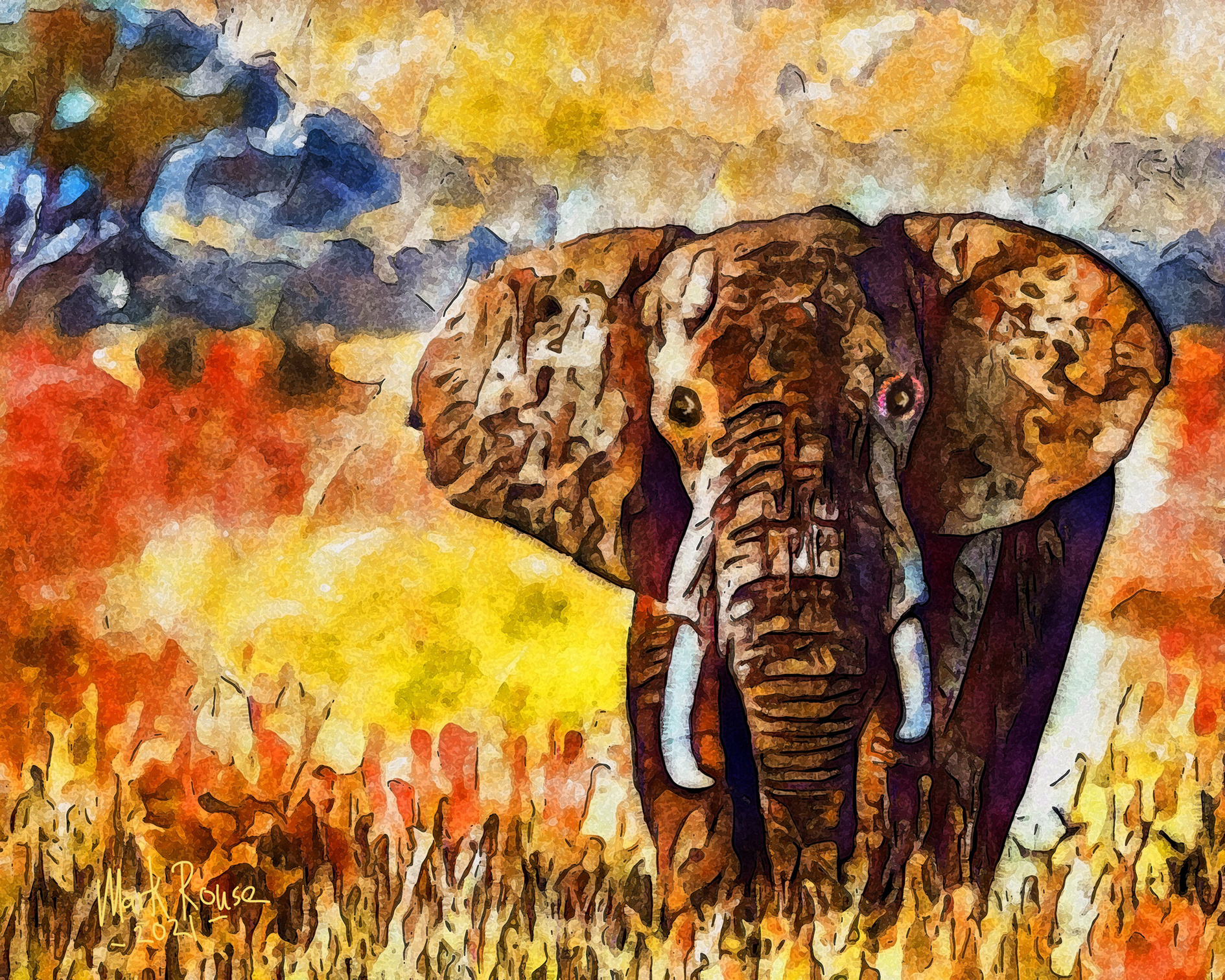 Elephant