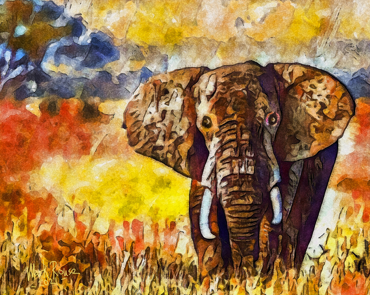 Elephant